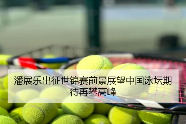 潘展乐出征世锦赛前景展望中国泳坛期待再攀高峰