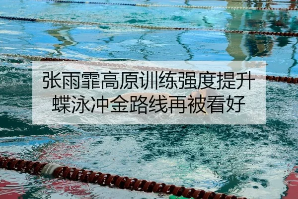 张雨霏高原训练强度提升 蝶泳冲金路线再被看好