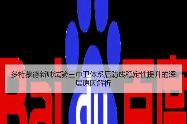 多特蒙德新帅试验三中卫体系后防线稳定性提升的深层原因解析