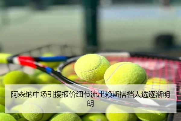 阿森纳中场引援报价细节流出赖斯搭档人选逐渐明朗